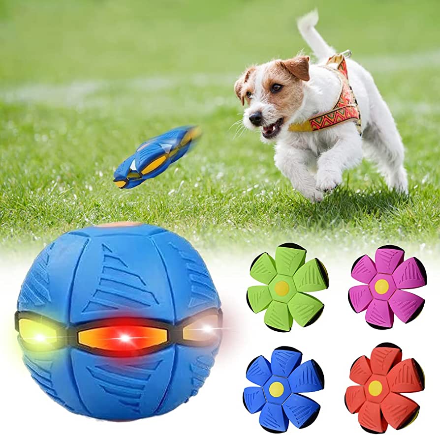 Paws and Claws dog frisbee – product photo 7