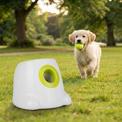 Paws and Claws ball launcher for dogs – dog playing fetch in park