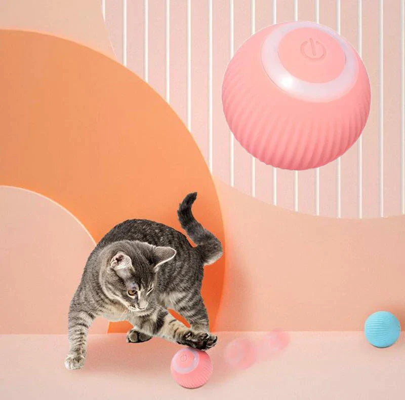 Paws and Claws interactive pet ball – product photo 3