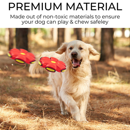 Paws and Claws dog frisbee – product photo 4