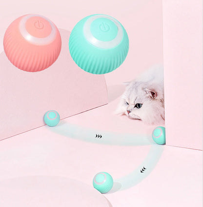 Paws and Claws interactive pet ball – product photo 2